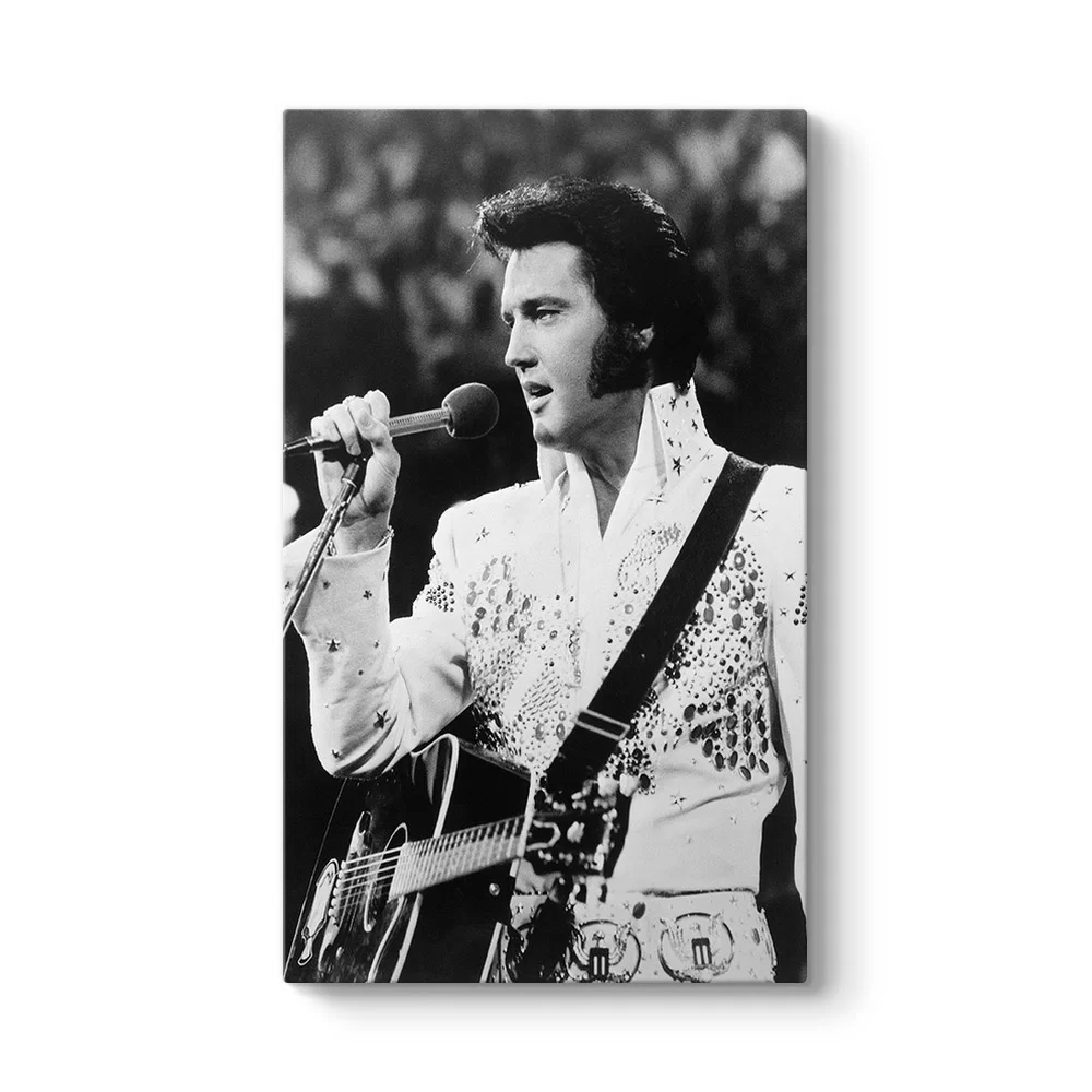 Elvis Presley - My Way Tablosu - Model 35